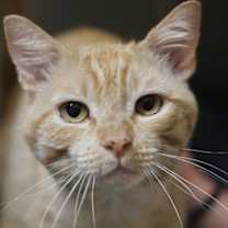 Thumbnail photo of Baby Boy #1