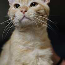 Thumbnail photo of Baby Boy #2