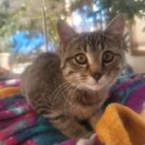 Thumbnail photo of Scarlett #1