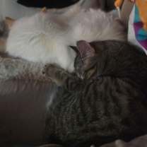 Thumbnail photo of Scarlett #2