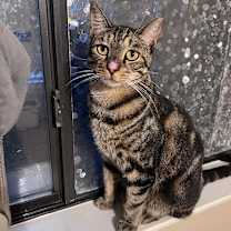 Thumbnail photo of HOBO SYG #2