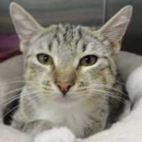 Thumbnail photo of JANIE #4