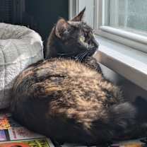 Thumbnail photo of Momma Maci #2