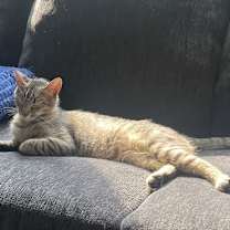 Thumbnail photo of Chloe #1