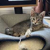 Thumbnail photo of Jesse #1