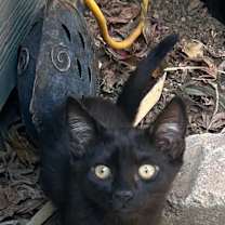 Thumbnail photo of Ellie #1