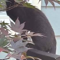 Thumbnail photo of Ellie #2