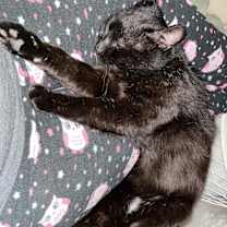 Thumbnail photo of Jackson #2