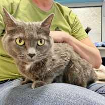 Thumbnail photo of Serena #3