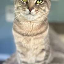 Thumbnail photo of Ray of Sunshine #1