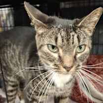 Thumbnail photo of Austin #2