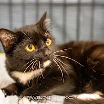 Thumbnail photo of Lucas #3