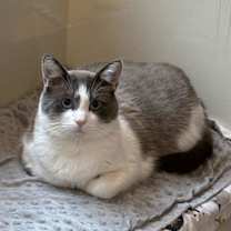 Thumbnail photo of Yahtzee #2