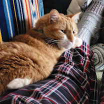 Thumbnail photo of Fisher #3