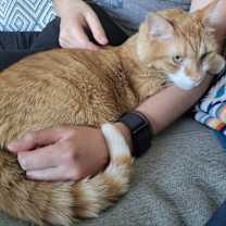 Thumbnail photo of Fisher #4