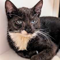 Thumbnail photo of Mony #1