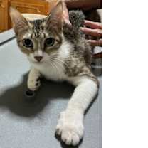 Thumbnail photo of Amaris (Big Sister) #1