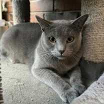 Thumbnail photo of Cindy #2