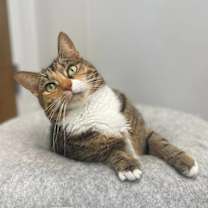 Thumbnail photo of DEMI #3