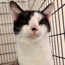 Thumbnail photo of Marilyn #2