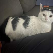 Thumbnail photo of Kyle #1