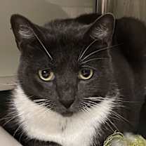 Thumbnail photo of Paula Deen #1