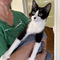 Thumbnail photo of biscuit-making🍹Mai Tai #3