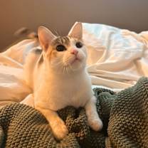 Thumbnail photo of Sunny Hale #4