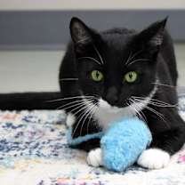 Thumbnail photo of Venice #1