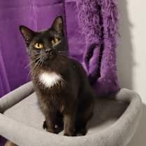 Thumbnail photo of Pixel #2