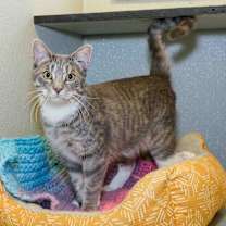 Thumbnail photo of Peekaboo #4