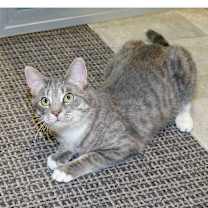 Thumbnail photo of Peekaboo #1