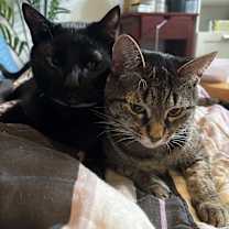 Thumbnail photo of Mars- CP #2