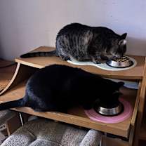 Thumbnail photo of Toblerone- CP #3