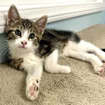 Thumbnail photo of Del #2