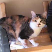 Thumbnail photo of Snuggles #1