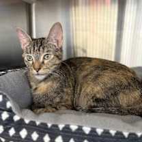 Thumbnail photo of Bubbles #1