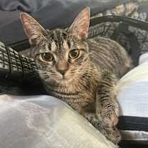 Thumbnail photo of Terry #1