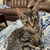 Thumbnail photo of Terry #3