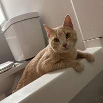 Thumbnail photo of Buddy #1