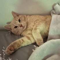 Thumbnail photo of Buddy #2