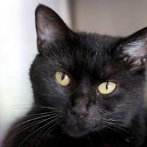 Thumbnail photo of Charity #1