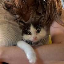 Thumbnail photo of Remy Rosie #4