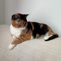 Thumbnail photo of PK #1