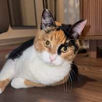 Thumbnail photo of PK #2