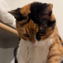 Thumbnail photo of PK #4