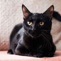 Thumbnail photo of Dorothy #1