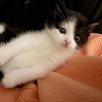 Thumbnail photo of Myra #2