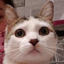 Thumbnail photo of Lilith #2