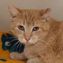 Thumbnail photo of Flora #1